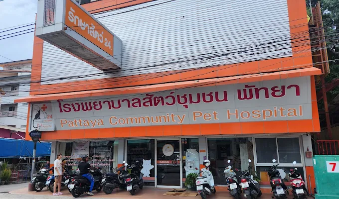 파타야 Muang Ake Pet Hospital 24시간 동물병원