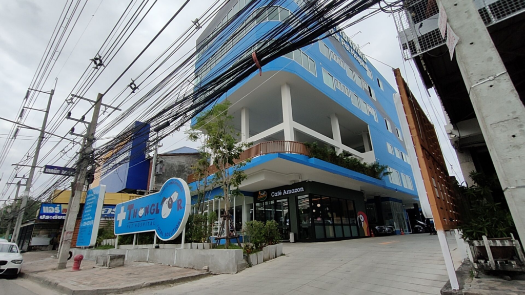 파타야 Thonglor Pet Hospital 동물병원 외관