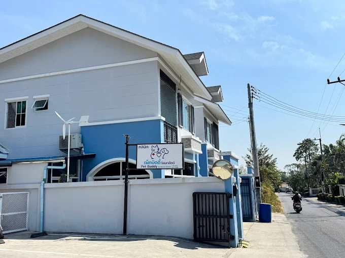 파타야 Pet Buddy Animal Clinic 동물병원 모습