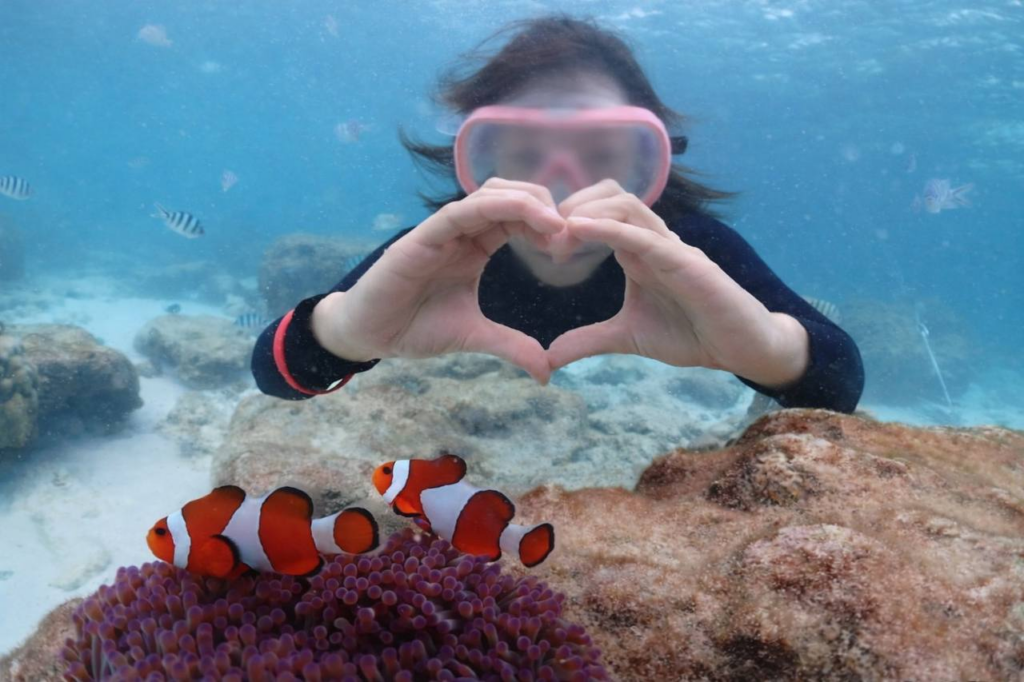 파타야 니모 물고기